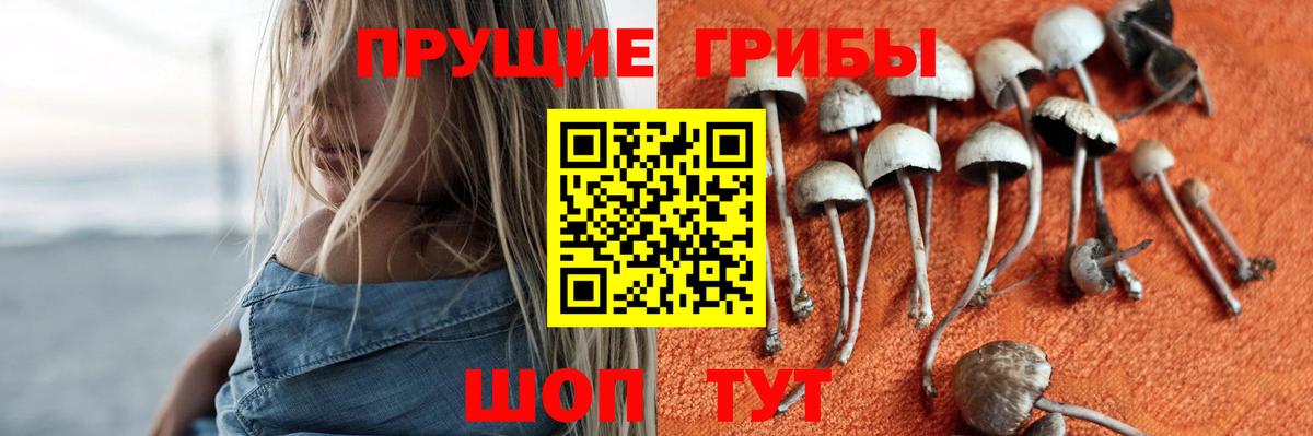 Галлюциногенные грибы Magic Shrooms  Вход с VPN  Вышний Волочёк 